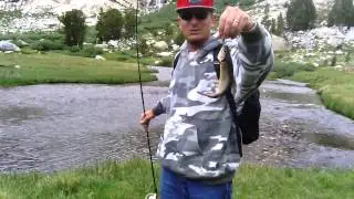 High Elevation Brook Trout