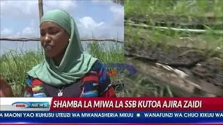 Shamba la miwa la Said Salim Bakhresa kutoa ajira zaidi ya elfu
