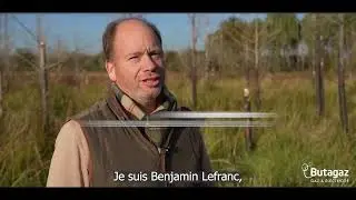 Le Bois de Gascogne, un projet Label Bas Carbone en faveur de la transition &eacute;cologique
