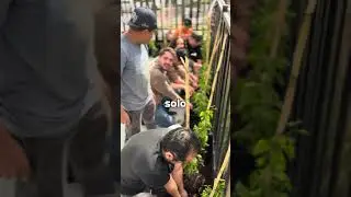 &iexcl;Nuestro campus Guadalajara se puso m&aacute;s verde!🌱🧡