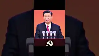 BYD Vs Tesla competition