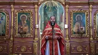 Проповедь протоиерея Иоанна Шимона в Неделю 6-ю по Пасхе, о слепом (09.06.2024)