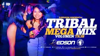 Tribal Mega Mix 2020 (Vol TR3S) | DJ Edson