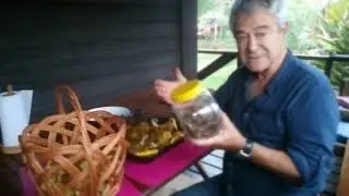 Hongos de pino en Rocha, Uruguay, 2019. 1ra parte