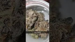 Exotic Marijuana Gary Poppins