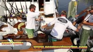 Sunset Marina - 