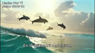 Salmo 139:13-18 - Alabanza Latina - “Hecho Por Ti“