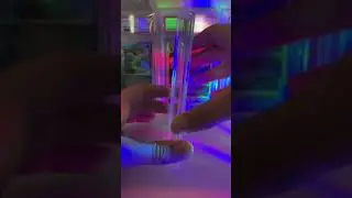 CHARZARD 10
