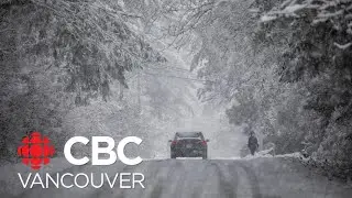 How to tell if your tire pressure is correct for driving in the snow