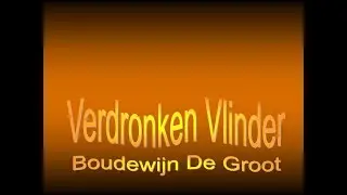 Verdronken vlinder
