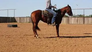 French Heart - Incredible Barrel Futurity Prospect!
