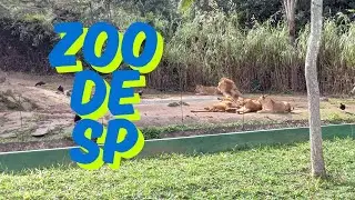Zoo de SP