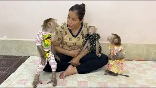 Brother Sovan Screaming Loud Very Tantrum Angry Mom For Not Giving Him Attentiooon Like Sister Jula,