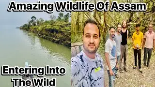Amazing Wildlife Of Assam || Part - 2 - Entering Into The Wild || Awesome Assam || Tourist place