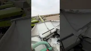 FUEL IS FILLED INTO COMBINE HARVESTERS