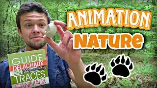 Id&eacute;es de jeux et d'activit&eacute;s nature, th&egrave;me trace et indice 🦌  [animateur nature, BTS GPN]