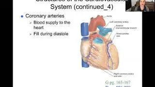 Perfusion Part 1 - 108 Fundamentals of Nursing II