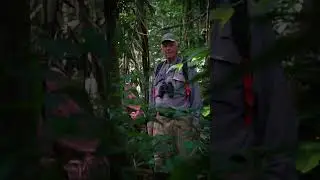 Explore cruises in the Amazon Peru