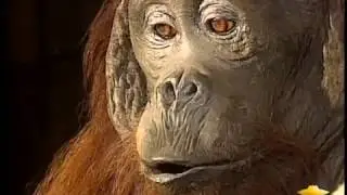 FORBIDDEN ARCHEOLOGY  Secret Discoveries of Early Man ✪ Forbidden History Films HD