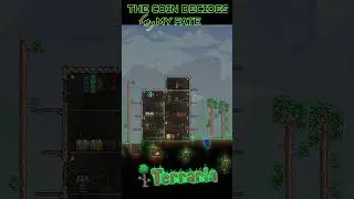 A Coin Flip Decides My Fate // Let's Play Terraria Episode 11