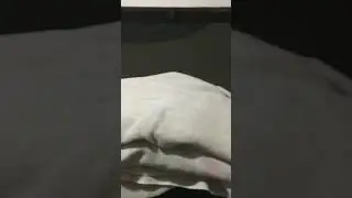 Djvug