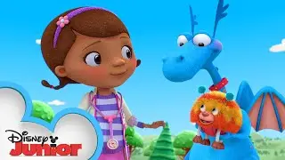 Go Pet Rescue Team! | Doc McStuffins | Disney Junior