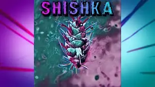 Shishka (feat. ₴VLAD₴) [prod. by TeN AT]