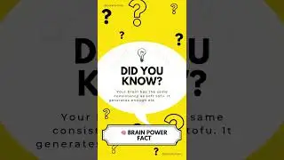 Your Brain Feels Like Tofu? 😱