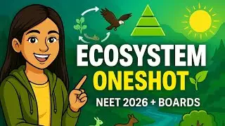 Class 12 Biology Chapter 14 &ndash; Ecosystem ONESHOT Lecture (NCERT + Boards)
