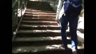 Arishiyama Monkeys Kyoto, Japan 2016 part 5