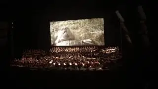 Cine-Concert The Lord of the Rings! 8