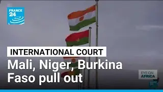 Military-run Mali, Burkina Faso and Niger pull out of key international court &bull; FRANCE 24 English