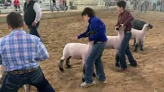 Team GCP- Sonny Brazil Classic Medium Wools 01/28/2023