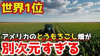 なぜアメリカは、とうもろこし生産量が圧倒的１位になれたのか？