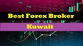 the best forex brokers in Kuwait| Forex Broker 2022 - 2023