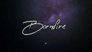 Bornfire (Lyrics) - Divine feat. Russ | Gunehgar |