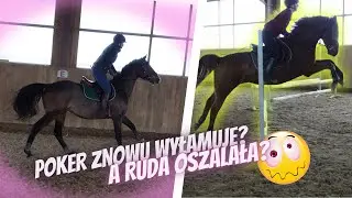 VLOG #103 |  POKER ZNOWU WYŁAMUJE? A RUDA OSZALAŁA?