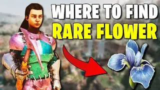 WHERE TO FIND RARE FLOWER - ARK SURVIVAL ASCENDED - RAGNAROK