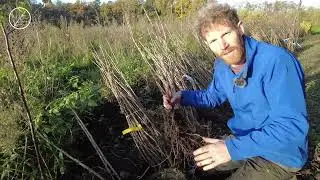 Organisatie van de aanplant van het Romantische voedselbos in Lage Mierde