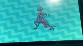 Pokemon Sun And Moon Salandit Evolves Into Salazzle