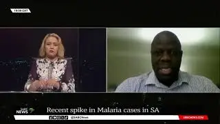 Malaria | Concerns over spike in cases in SA