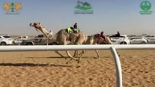 ميدان شرورة - الشوط الاول رئيسي حقايق قعدان - (مهاجر ) ل علي مفرج ال معروف الصيعري
