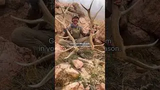 Я всё ещё буду стремиться к своей мечте!