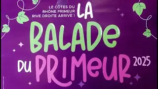 C&ocirc;tes du Rh&ocirc;ne primeur 2025 &ndash; маленькие секреты производства, праздник и советы гурманам