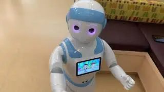 Joy the Robot