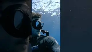 Swimming w/ Bull Sharks 😳