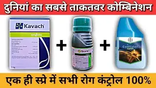 best fungicide insecticide combination | score fungicide | kavach fungicide | imidacloropide 30.5 sc