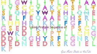 Gene Music using Protein Sequence of CALHM4 