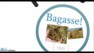 Pappco Greenware Product Cycle