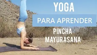 YOGA PARA APRENDER Pincha Mayurasana | Clase completa de vinyasa yoga | MalovaElena